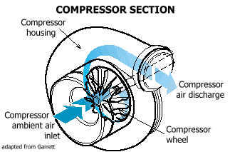 Compressor section