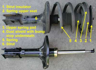 Front strut assembly